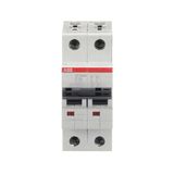 ST202M-C1 Miniature Circuit Breaker - 2P - C - 1 A