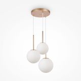 Modern Basic form Pendant lamp Gold