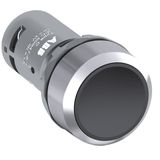 CP2-30B-01 Pushbutton