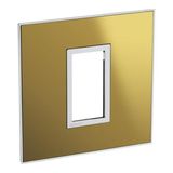 British standard plate Arteor square version 1 module - reflective gold