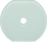 Glass cover centre plate for rot. switch/spring-return push-button