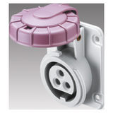 10° ANGLED FLUSH-MOUNTING SOCKET-OUTLET - 2P 16A 20-25V 50-60HZ VIOLET - n.r. - SCREW WIRING