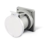 SOCKET OUTLET 2P+E IP44 63A 3h >50-250V