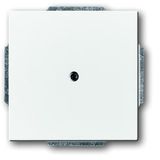 1742-84 CoverPlates (partly incl. Insert) future®, Busch-axcent®, solo®; carat® Studio white