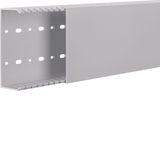 HNG 50125/0 Grey 7035 Trunking