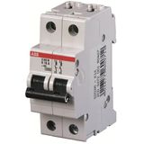 S202M-D20 Miniature Circuit Breaker - 2P - D - 20 A