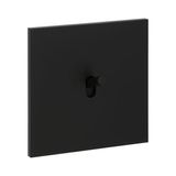 Art d'Arnould universe Epure two-way switch or 10A switch - matte black