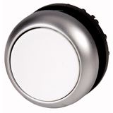 Illuminated pushbutton actuator, RMQ-Titan, Flush, momentary, White, Blank, Bezel: titanium