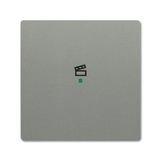 SRS-1-803 Electronic Controls free@home grey metallic - 63x63