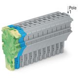 1-conductor female connector Push-in CAGE CLAMP® 4 mm² green-yellow/bl