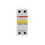 SV202-C16 Miniature Circuit Breaker - 2P - C - 16 A