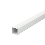 WDKH-20020LGR Wall trunking system halogen-free 20x20x2000