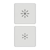 2 buttons Flat regulation symbol white