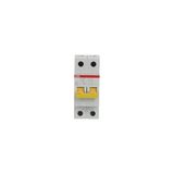 SV202-C40 Miniature Circuit Breaker - 2P - C - 40 A