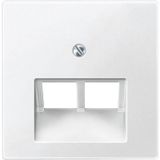 Central plate for UAE use, 2-fold, polar white, system M