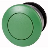 Mushroom actuator, RMQ-Titan, Mushroom, maintained, Mushroom green, green, Blank, Bezel: titanium