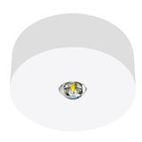 Emerg.lum.IL 1x3W ERT-LED 3h 230VAC Self C.radial surface m.