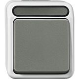 Off/toggle switch, 1-pole, light gray, AQUASTAR