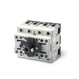 SWITCH DISCONNECTOR 100A 3P IP66/IP69