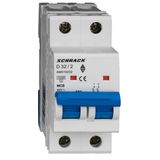 Miniature Circuit Breaker (MCB) AMPARO 10kA, D 32A, 2-pole