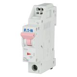 Miniature circuit breaker (MCB) with plug-in terminal, 2 A, 1p, characteristic: C