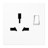 Combo switched socket insert LS4171GISWWW