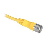 Allen-Bradley 889M-FX9AE-2 M23 Cable, Female, Straight (Int Threads), Female, Straight (int threads), Standard Materials, 12-Pins / 9-Conductor, 12-Pins / 9-Conductor, Cable, No Connector, Cable - IEC Stndrd Color Code