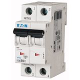 Miniature circuit breaker (MCB), 40 A, 2p, characteristic: B