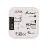 1-Channel radio dimmer type: RDP-01