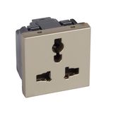 Multistandard 2P+E unswitched socket outlet Arteor 2 modules - champagne