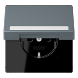 SCHUKO socket, with hinged lid, with ins LC1520BFNAKL251