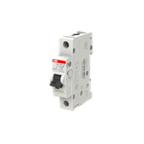 S202MT-Z0,75 Miniature Circuit Breaker - 2P - Z - 0.7 A