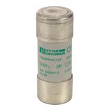 Cylindrical fuse-link aM 22x58 IEC 500VAC 125A