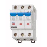 Miniature Circuit Breaker (MCB) D, 2A, 3-pole, 10kA, 40ø C