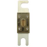 circuit limiter, low voltage, 750 A, DC 80 V, 22.2 x 81 mm, UL