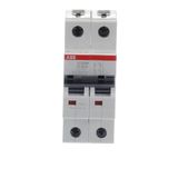 ST202M-D20 Miniature Circuit Breaker - 2P - D - 20 A