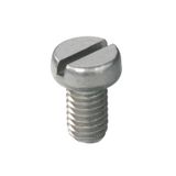 Mounting screw (Terminal)