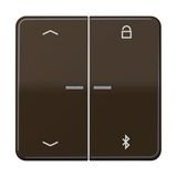 Universal timer Bluetooth "arrows"