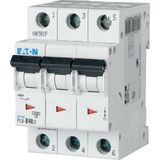 Miniature circuit breaker (MCB), 40 A, 3p, characteristic: D