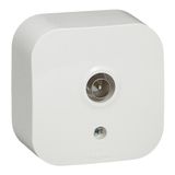 Television socket Forix - surface mounting - IP 2X - male connector - white