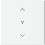 Cover for dimmer icon 1. Rocker keypad 63