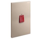 Galion - 2 gangs vertical double pole 45A switch with red power indicator - Rose Gold