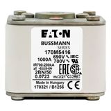 Fuse-link, high speed, 250 A, AC 1250 V, size 2, 61 x 77 x 81 mm, aR, IEC, UL, single indicator