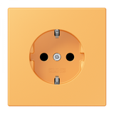 SCHUKO socket LC4320L LC1521KI254