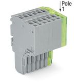 2-conductor female connector Push-in CAGE CLAMP® 1.5 mm² gray, green-y