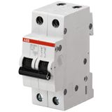 SH202L-C8 Miniature Circuit Breaker - 2P - C - 8 A