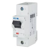 Miniature circuit breaker (MCB), 40A, 1p, D-Char, AC