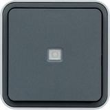 CUBYKO WALL LIGHT BUTTON END. STATUS IP55 GRAY