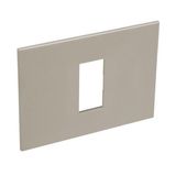 Arteor™ - Italian / US standard plate square version 1 module - Champagne