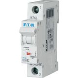 PLS6-C3-MW Eaton Moeller series xPole - PLS6/M MCB